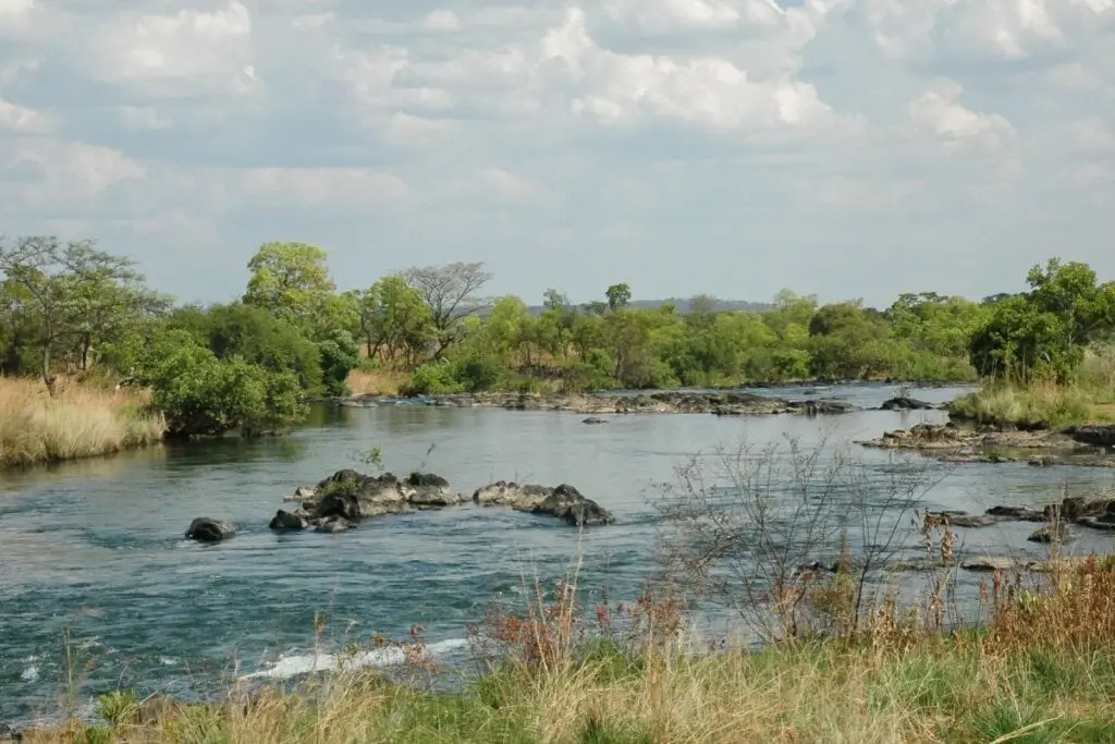 vista de Cuando Cubango com rio no centro e árvores nas bordas