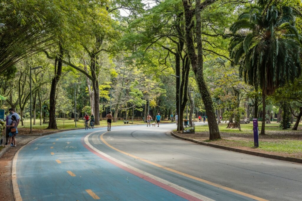 vista de parque com árvores verdes, pista azul no chão no centro e pessoas andando de bicicleta e a pé