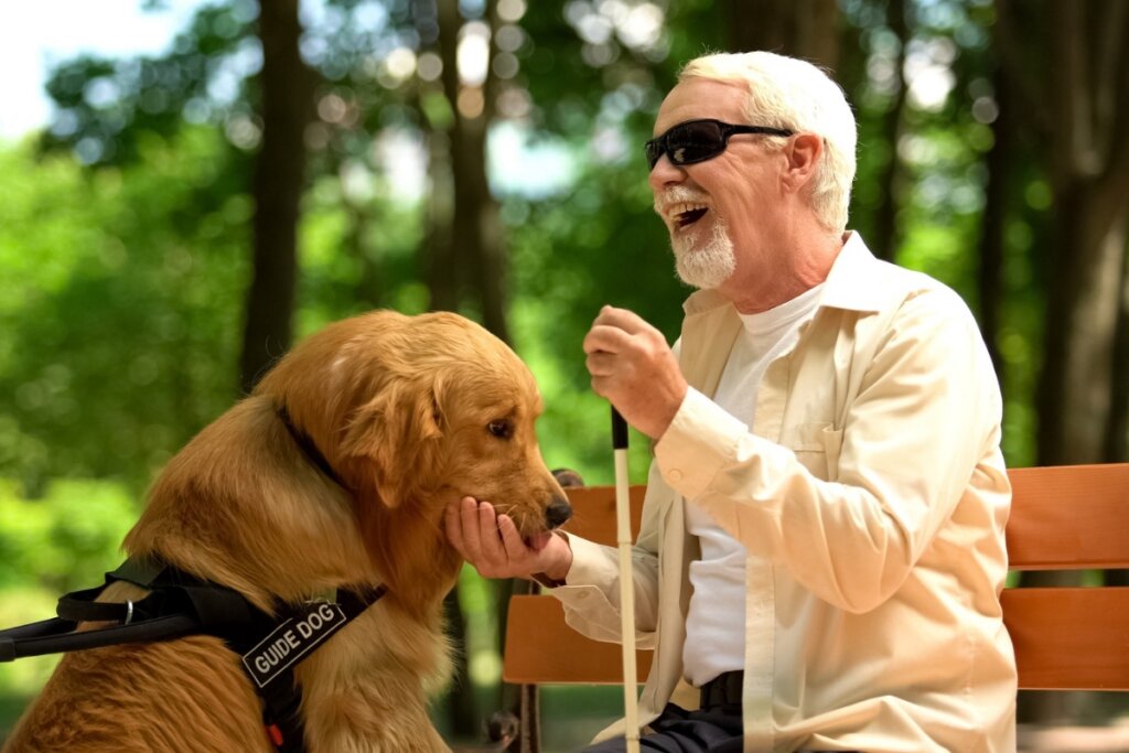 homem cego de camisa bege sentado e com a mão na boca de cachorro golden que é cão guia