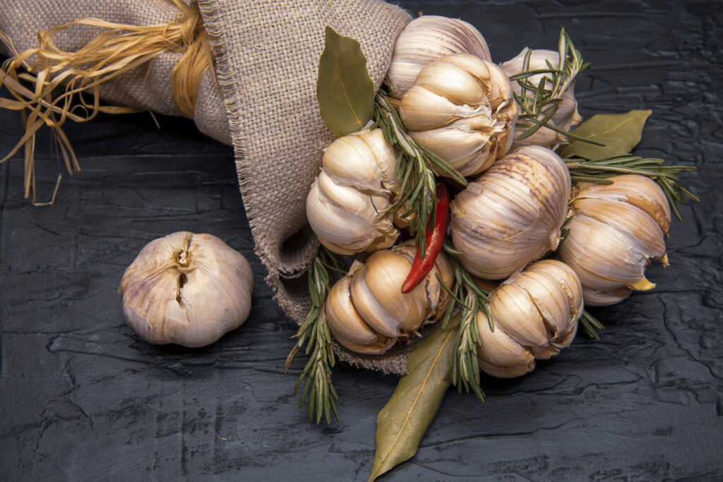 Um ramo com várias cabeças de alho, alecrim e uma pimenta vermelha sobre uma superfície preta 