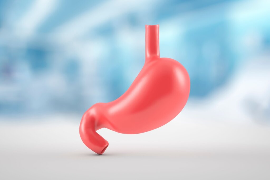Ilustração de um estômago sobre um fundo branco e azul desfocado