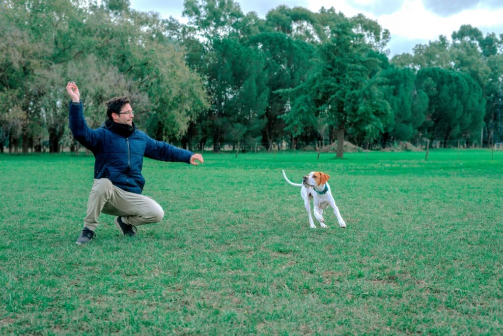 Homem brincando de jogar bolinha com um cachorro da raça pointer inglês, com pelagem branca com manchas marrom-claro, em um jardim com grama verde