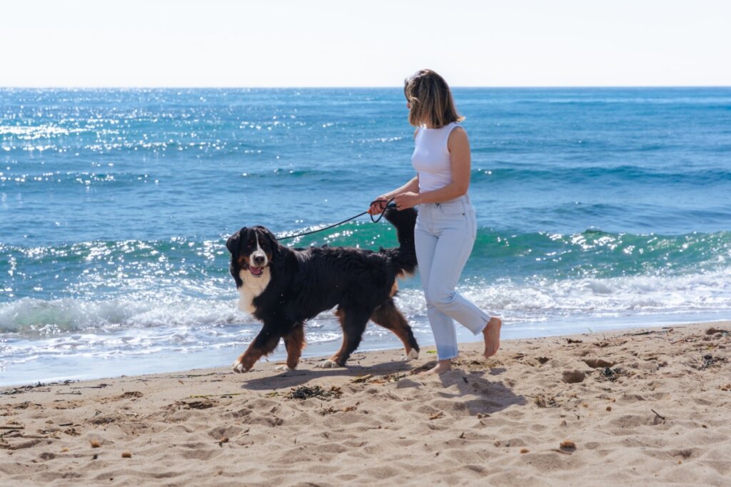 Mulher passeando com um cachorro na beira da praia 
