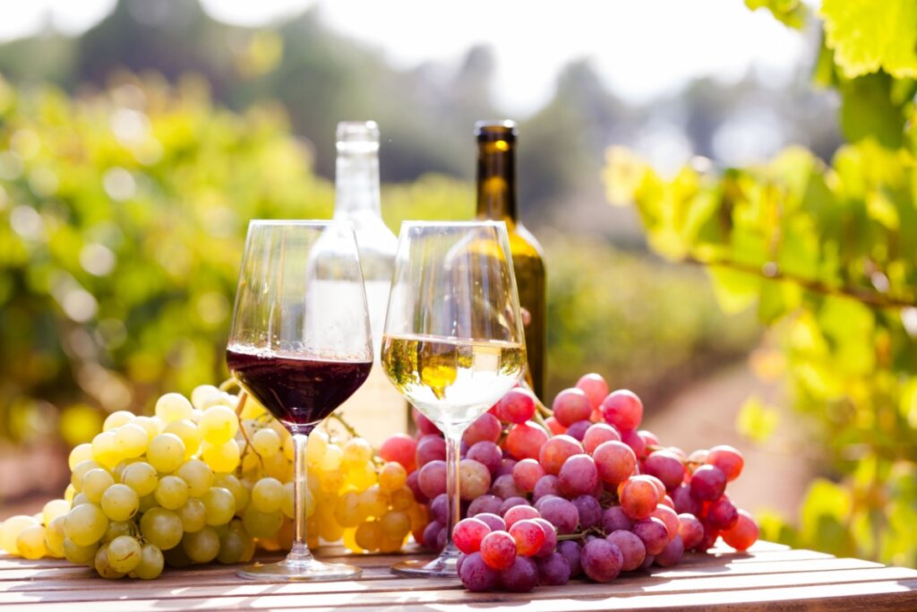 Duas taças de vinho, uma com vinho tinto e a outra com vinho branco, em cima de uma mesa de madeira com uvas
