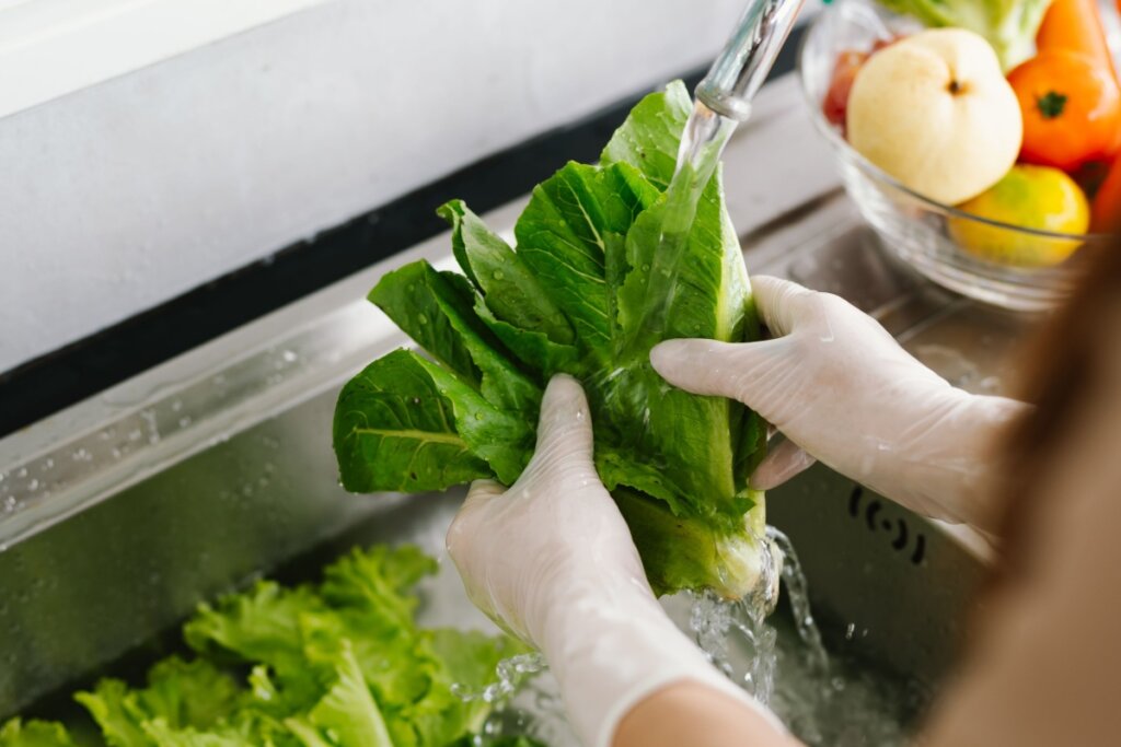 Uma pessoa usando luvas brancas de látex lava folhas de alface romana sob água corrente em uma pia de aço inoxidável. Ao fundo, à direita, há uma tigela de vidro com outras frutas e vegetais, como tomates e uma pera.