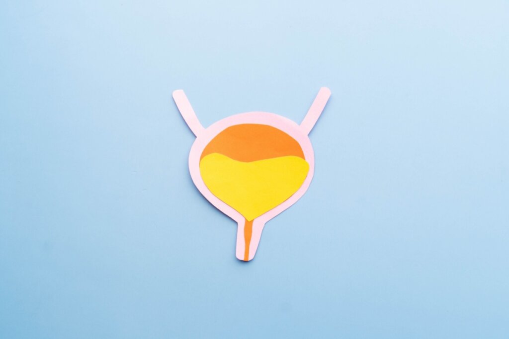 Ilustração em desenho do órgão bexiga em fundo azul-claro