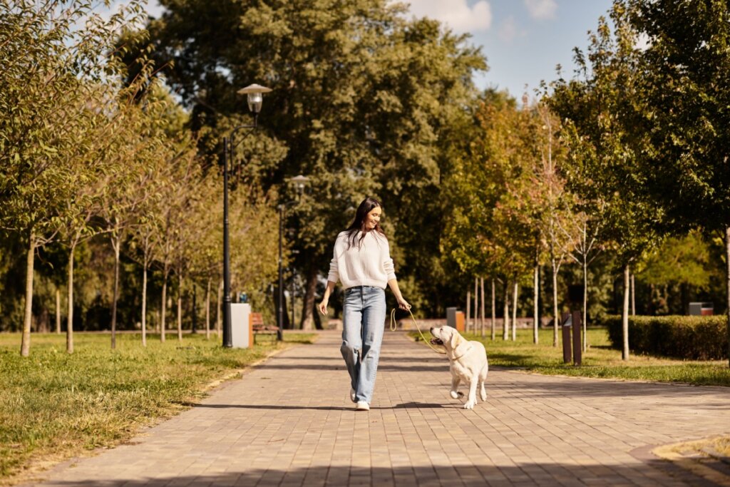 Uma mulher jovem caminha sorridente por um caminho de pedras em um parque ensolarado, levando um cachorro da raça Labrador de cor clara na coleira. Ela veste uma blusa de tricô branca e calça jeans folgada. O cachorro caminha ao lado dela, olhando para cima com animação. O cenário é repleto de árvores com folhas em tons de verde e dourado, sugerindo uma tarde de outono, com gramados verdes e postes de iluminação ao longo do trajeto.