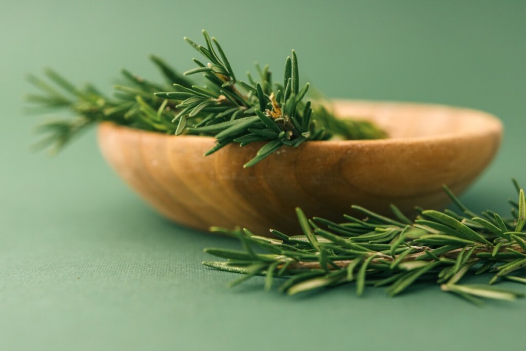 Pote de madeira com ramos de alecrim dentro e ao lado em fundo verde