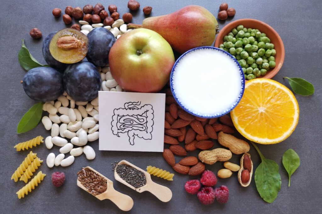 desenho de intestino em papel branco com alimentos, como feijão, frutas, grãos e sementes, em volta