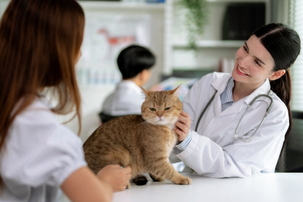 Tutora com o cabelo longo, liso levando gata ao veterinário para ser castrada