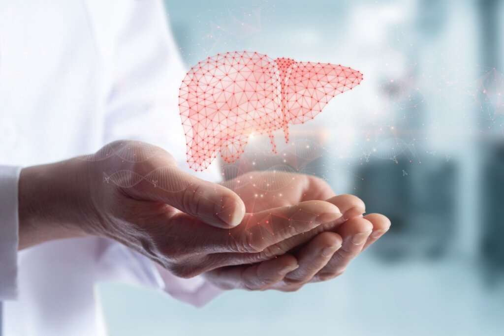 Ilustração de um fígado sobre as mãos de uma médica