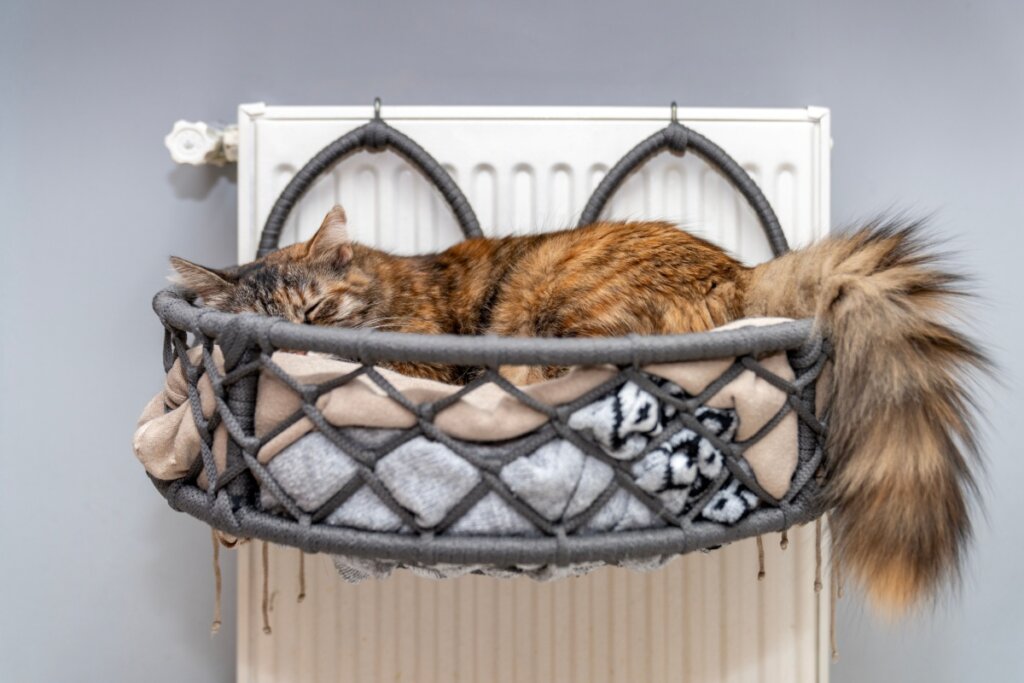Gato de pelagem mesclada dormindo em uma cama suspensa de corda cinza, presa a um radiador branco. O gato está encolhido e confortável dentro do cesto trançado.