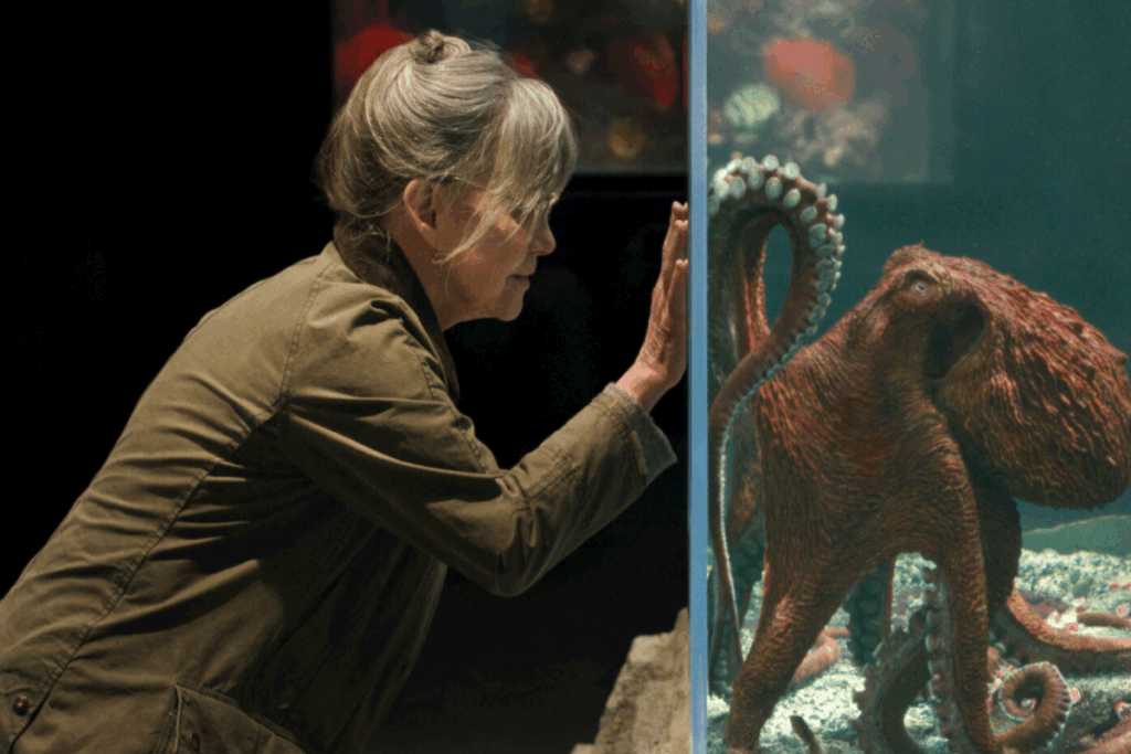 Cena do filme "Criaturas Extraordinariamente Brilhantes" com a protagonista Tova encostando a mão no vidro do aquário diante de um polvo