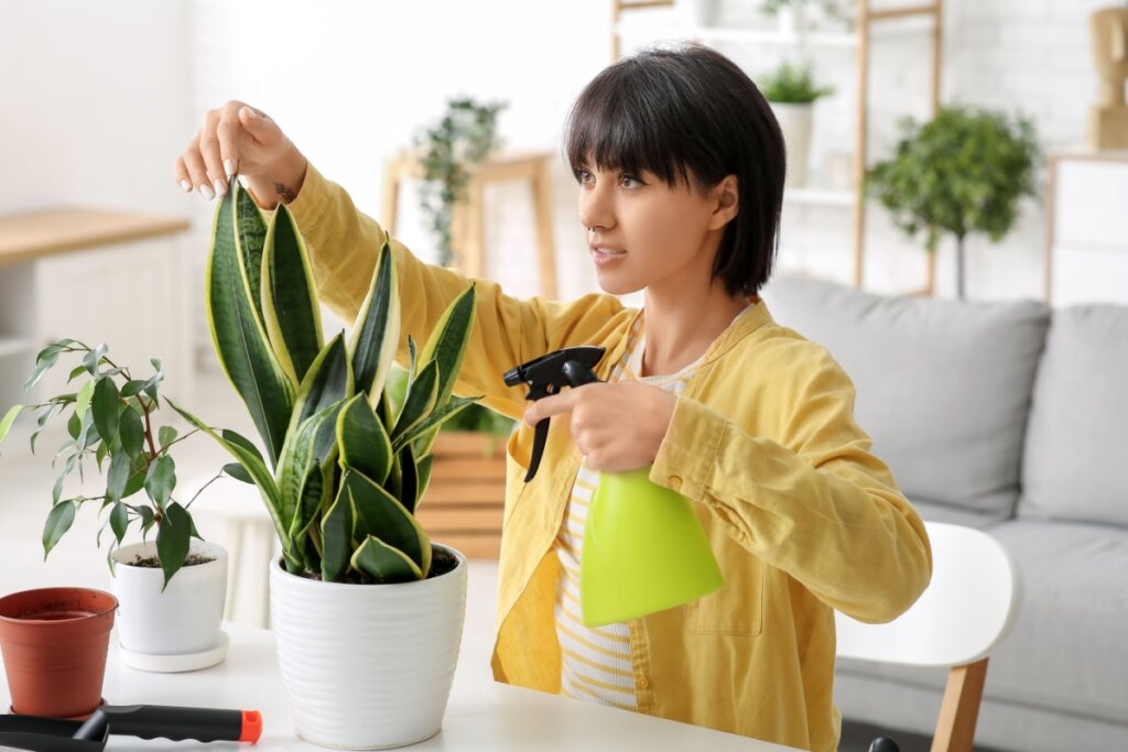 Uma mulher jovem de pele clara e cabelos pretos curtos está sentada à mesa, cuidando de suas plantas em um ambiente iluminado. Ela veste uma camisa amarela sobre uma camiseta listrada em tons de branco e amarelo. Com a mão esquerda, ela segura delicadamente a folha de uma espada-de-são-jorge em um vaso branco, enquanto com a mão direita utiliza um borrifador verde para umedecer a planta.