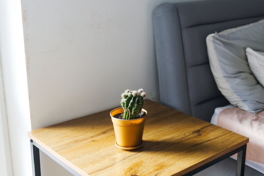 Vaso marrom com cacto em cima de uma mesinha de cabeceira de madeira