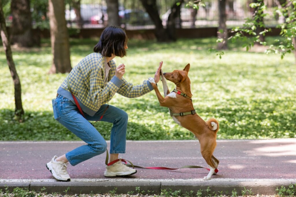Mulher em um parque adestrando cachorro