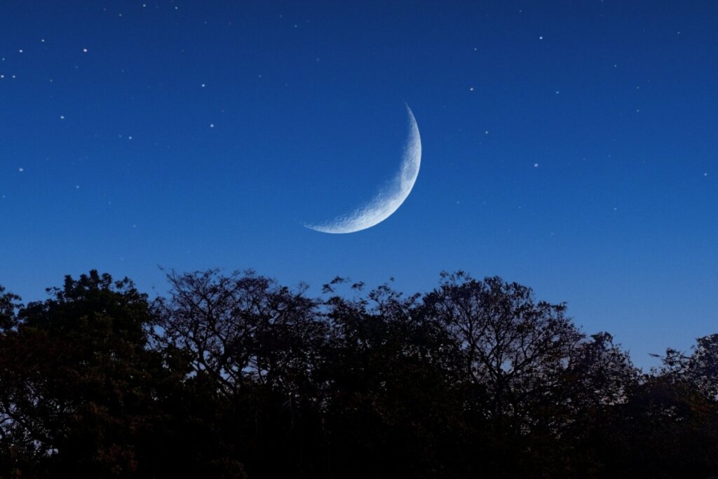 Lua minguante em céu azul estrelado com árvores embaixo