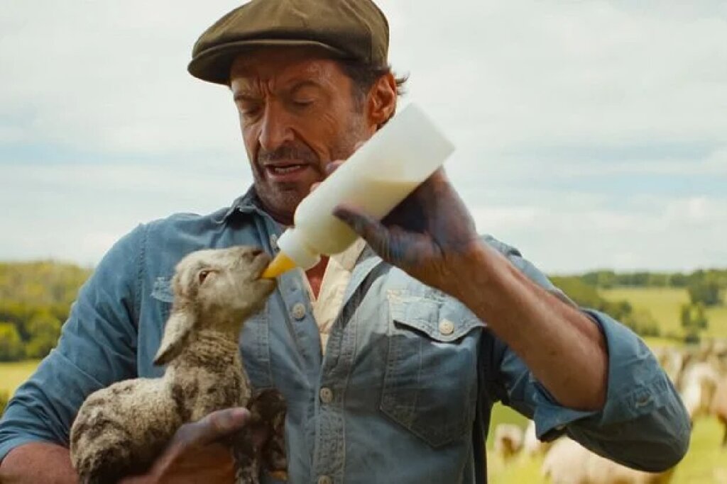 O ator Hugh Jackman, vestindo uma boina e camisa de brim, segura um pequeno cordeiro nos braços enquanto o alimenta com uma mamadeira de leite. O cenário é um campo aberto e ensolarado.