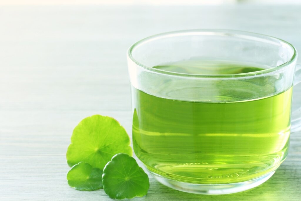 Xícara de vidro com chá de Centella asiática verde