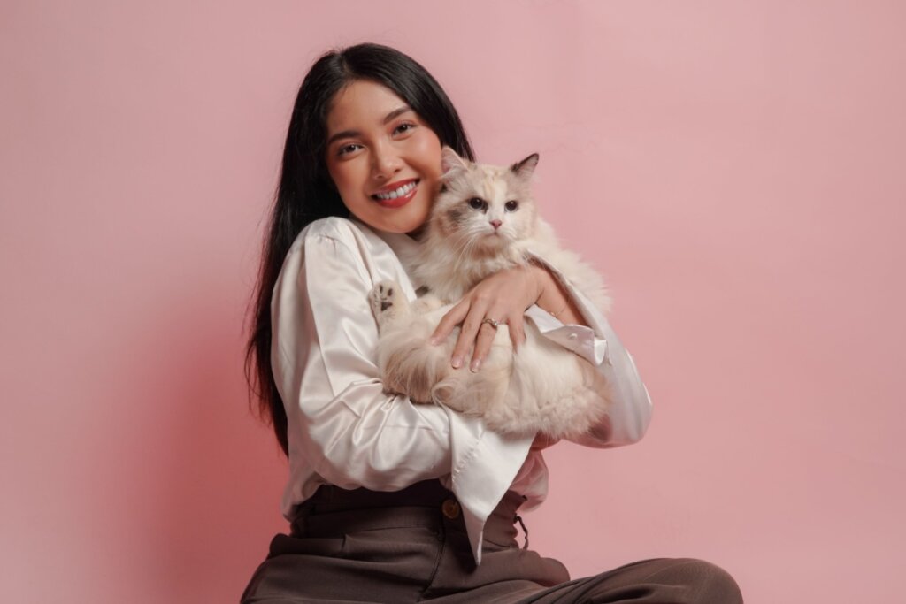A mulher asiática muito jovem de camisa branca está segurando um gato ragdoll branco e sorrindo para a câmera sobre fundo rosa isolado.