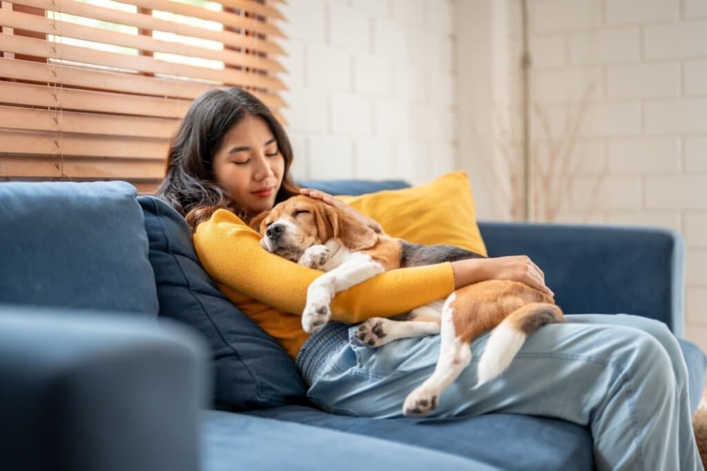 Mulher sentada em um sofá e segurando um cachorro no colo