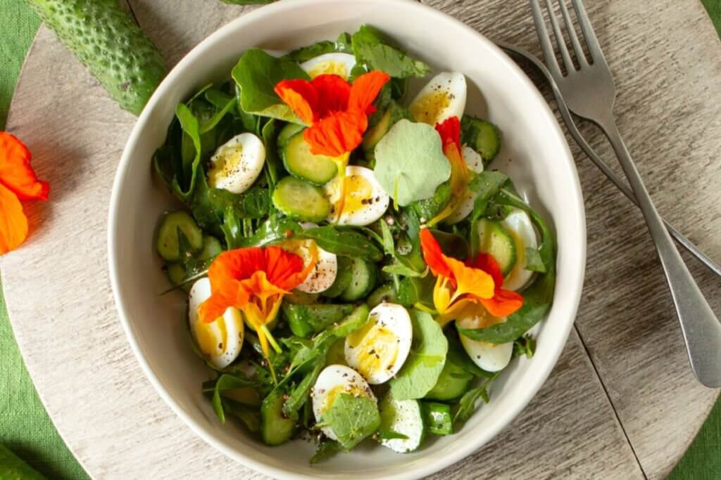 A imagem mostra uma salada fresca e colorida servida em uma tigela branca. Entre os ingredientes, destacam-se ovos cozidos cortados ao meio, fatias de pepino e diversas folhas verdes, que parecem incluir rúcula e outras folhas delicadas.