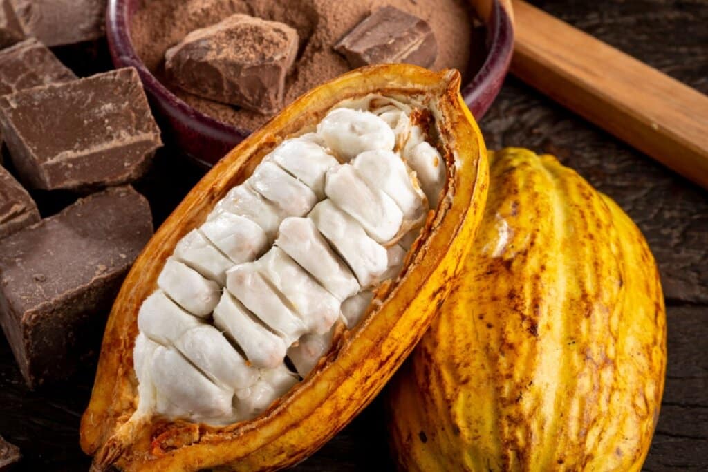 fruta cacau partida ao meio com pedaços de chocolate ao fundo
