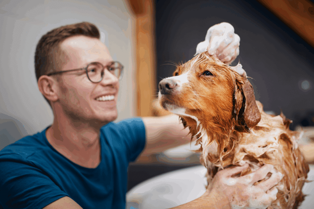 Homem com cabelo curto, usando óculos e camiseta azul dando banho em cachorro com a pelagem marrom