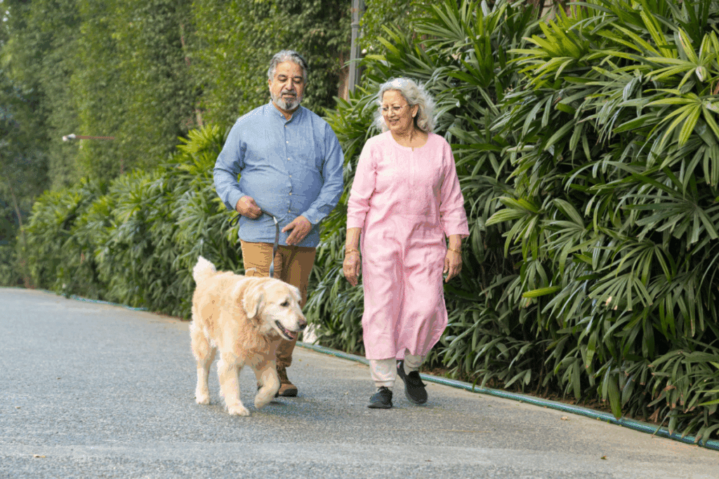A imagem mostra um casal de idosos caminhando ao ar livre em uma área arborizada, acompanhado por um cachorro de grande porte, semelhante a um Golden Retriever. O homem veste uma camisa azul de mangas compridas e calça bege, enquanto a mulher usa um vestido rosa claro com calça clara por baixo.