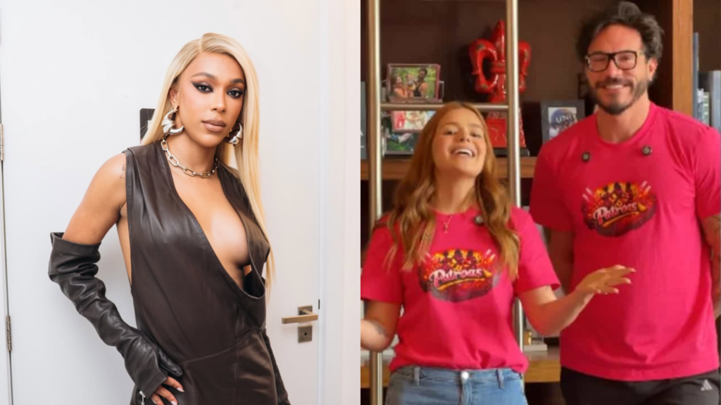 Érika Hilton, Viih Tube e Elizer