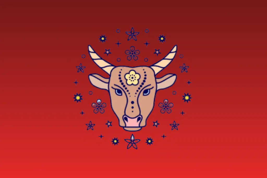 lustração estilizada do rosto de um búfalo bege com detalhes decorativos na testa, cercado por um círculo de flores e estrelas sobre fundo vermelho gradiente.
