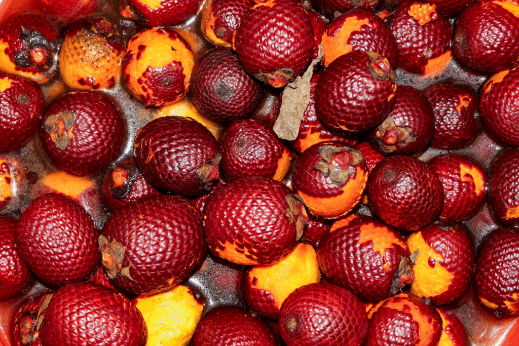 A imagem mostra vários frutos de buriti, com casca de coloração avermelhada a marrom-escura e superfície formada por pequenas escamas. Alguns frutos estão parcialmente descascados, revelando a polpa de tom alaranjado intenso em seu interior.