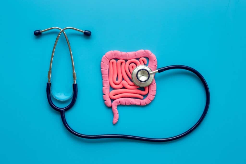 intestino de massinha em superfície azul com estetoscópio em cima