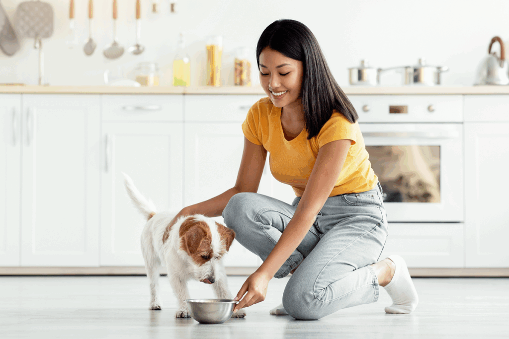 Mulher asiática sorridente, vestindo camiseta amarela e calça jeans, ajoelhada no chão de uma cozinha clara enquanto alimenta e acaricia um pequeno cão branco e marrom com tigela de metal.