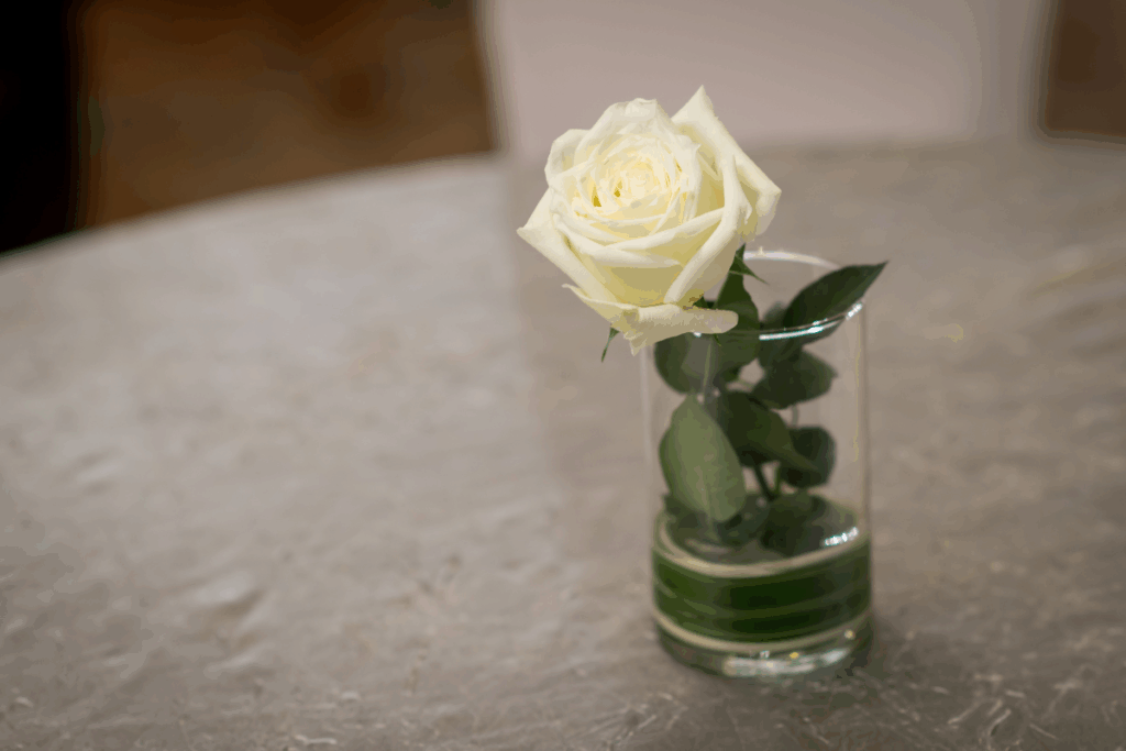 Uma rosa branca de haste curta com folhas verdes colocada dentro de um copo de vidro transparente com água, sob uma mesa de superfície clara.