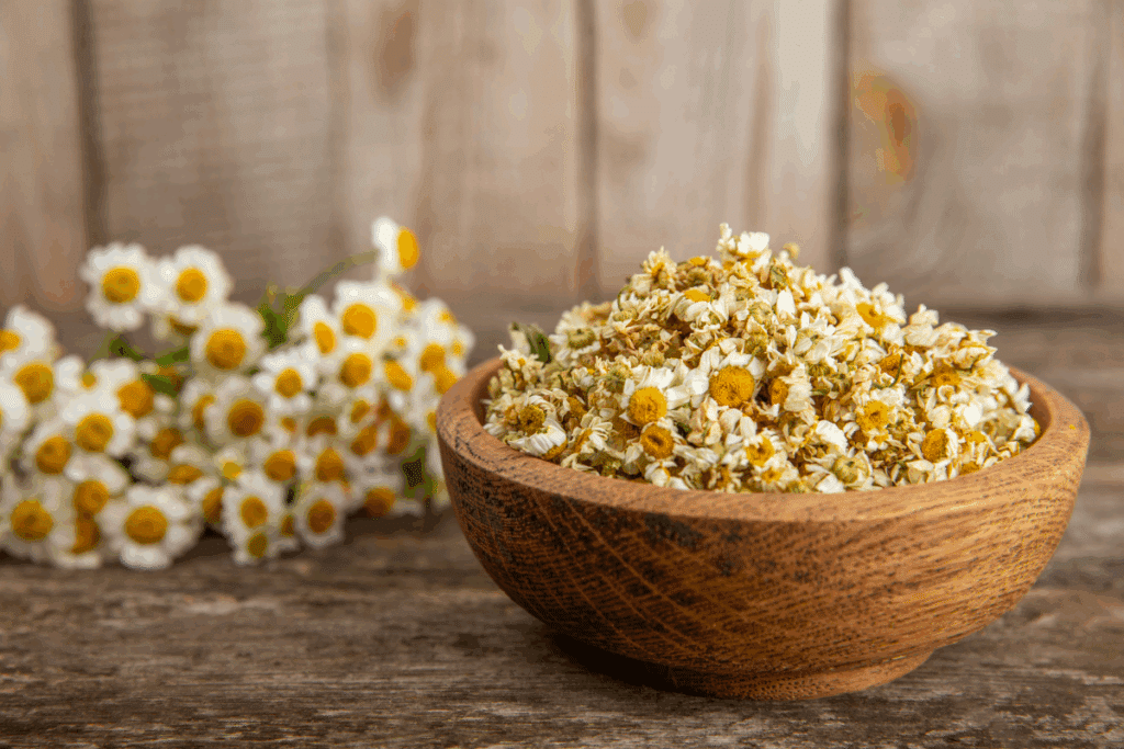 Tigela arredondada de madeira marrom, com textura rústica, cheia de flores secas de camomila em tons de creme, bege e amarelo. À esquerda, há um conjunto de flores brancas com miolos amarelos. Os objetos estão sobre uma mesa de madeira escura, diante de um fundo de tábuas verticais em tons de bege e marrom.