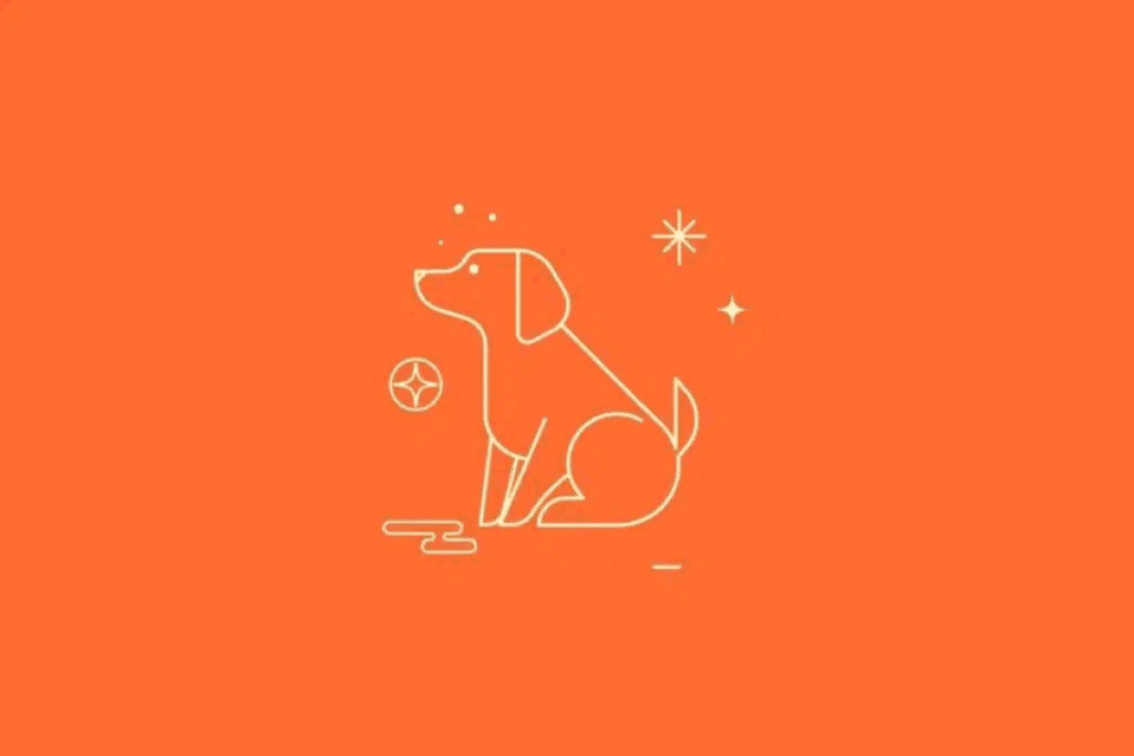Ilustração minimalista de um cachorro sentado, visto de perfil, desenhado com linhas finas em tom creme sobre um fundo laranja vibrante. O animal apresenta orelhas caídas, focinho alongado e cauda levantada. Pequenas estrelas e símbolos geométricos decoram a composição.