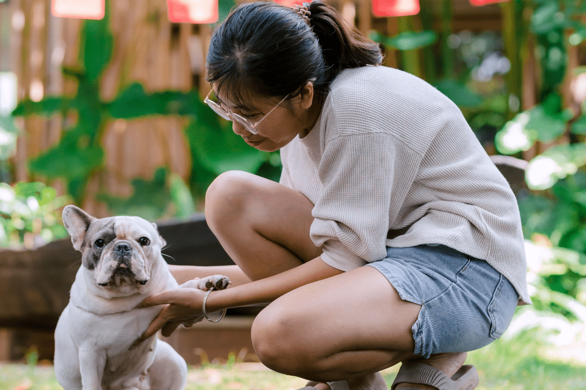 Uma mulher de óculos, blusa bege e shorts jeans está agachada ao ar livre em um ambiente arborizado. Ela segura carinhosamente as patas dianteiras de um buldogue francês branco e cinza, que está sentado no chão olhando em direção à câmera. O fundo mostra plantas e iluminação natural de um jardim