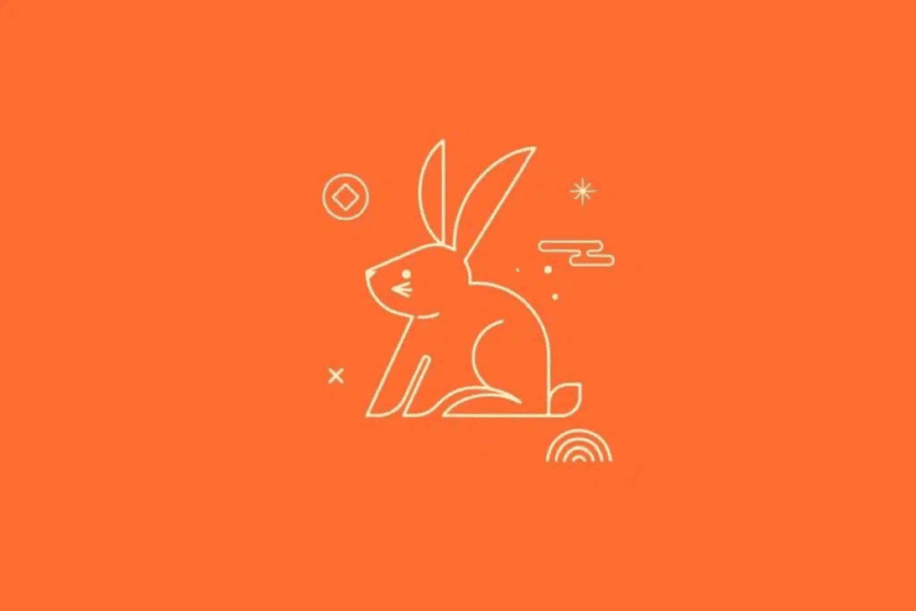 Ilustração minimalista de um coelho sentado, visto de perfil, desenhado com linhas finas em tom creme sobre um fundo laranja vibrante. O animal apresenta orelhas longas e levantadas, corpo arredondado e cauda pequena. Estrelas e símbolos geométricos decoram a imagem.
