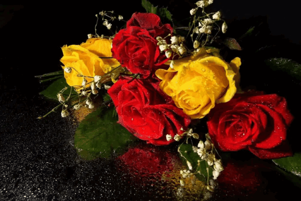 A imagem mostra um arranjo de rosas vermelhas e amarelas, acompanhado por pequenas flores brancas e folhas verdes. As pétalas estão cobertas por gotas de água, enquanto o fundo preto realça as cores intensas das flores