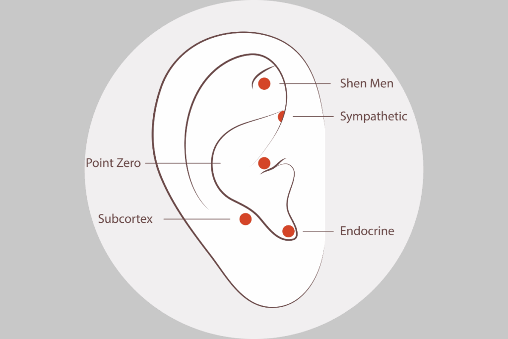 A imagem mostra uma ilustração esquemática de uma orelha humana, utilizada para identificar pontos da auriculoterapia. Cinco pontos estão destacados em vermelho, com seus respectivos nomes em inglês: Shen Men, Sympathetic (simpático), Point Zero (ponto zero), Subcortex (subcórtex) e Endocrine (endócrino). O desenho apresenta traços finos em marrom, sobre um fundo circular branco e cinza.
