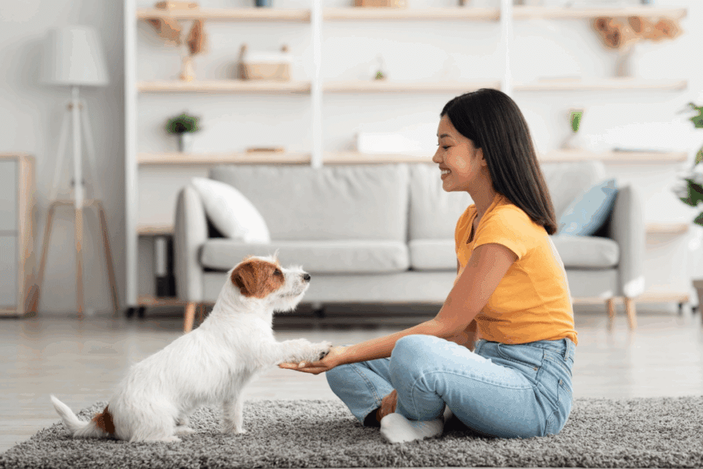 Mulher de cabelos longos, lisos e pretos, vestindo uma camiseta polo amarelo-alaranjada, calça jeans azul-clara e meias brancas. Ela está sentada de pernas cruzadas sobre um tapete cinza, sorrindo enquanto segura a pata de um cachorro pequeno. O animal tem pelagem predominantemente branca, com manchas marrons nas orelhas e no corpo, e está sentado diante dela, apoiando uma das patas em sua mão. Ao fundo, há uma sala de estar iluminada, com sofá cinza-claro, almofadas brancas e azuladas, prateleiras brancas com objetos decorativos e pequenas plantas, além de uma luminária de chão.